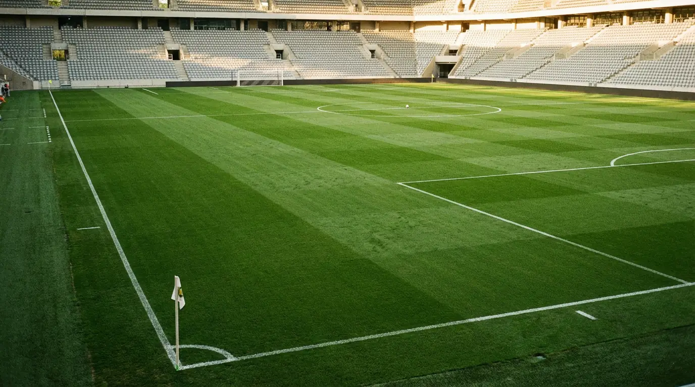 Campo de fútbol profesional con césped perfectamente cortado y líneas blancas marcadas antes de un partido internacional